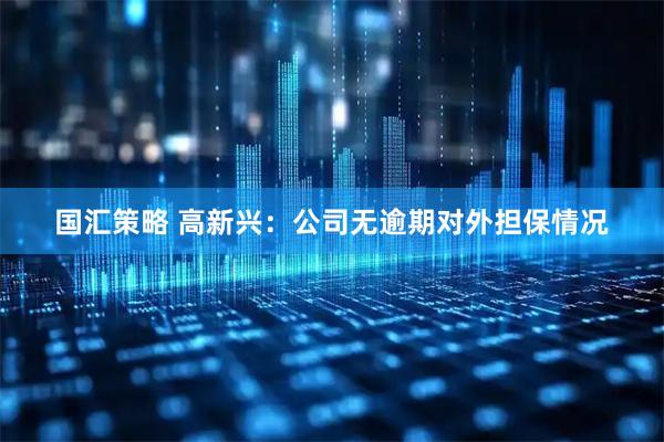 国汇策略 高新兴：公司无逾期对外担保情况