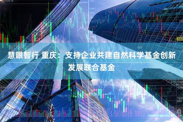 慧眼智行 重庆：支持企业共建自然科学基金创新发展联合基金