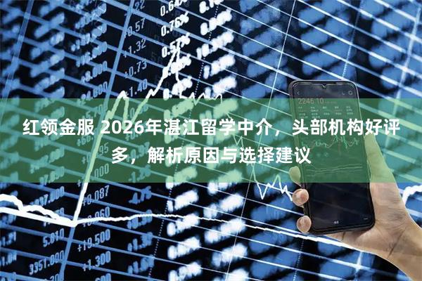 红领金服 2026年湛江留学中介，头部机构好评多，解析原因与选择建议